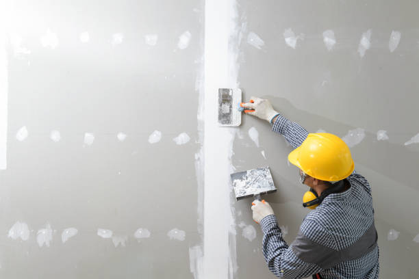 Best Industrial Mold Remediation  in Santo Domingo Pueblo, NM