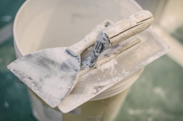 Best Mold-Related Health Consultation  in Santo Domingo Pueblo, NM